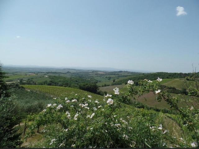 Holiday home Chianti *