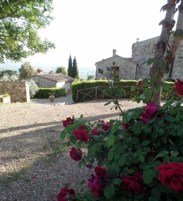 Chianti *